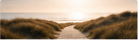 Chemin lumineux dans les dunes